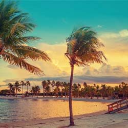 Miami